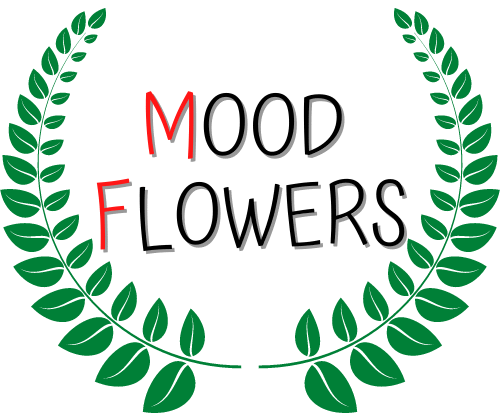 Stabilizzati by MoodFlowers